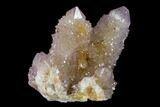 Cactus Quartz (Amethyst) Crystal Cluster - South Africa #137806-1